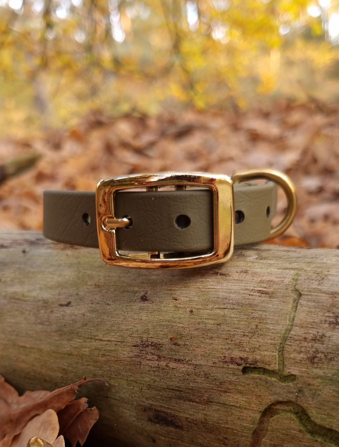 Klassieke olijfkleurige waterproof  halsband met gouden gesp  door Dazzling Dog
