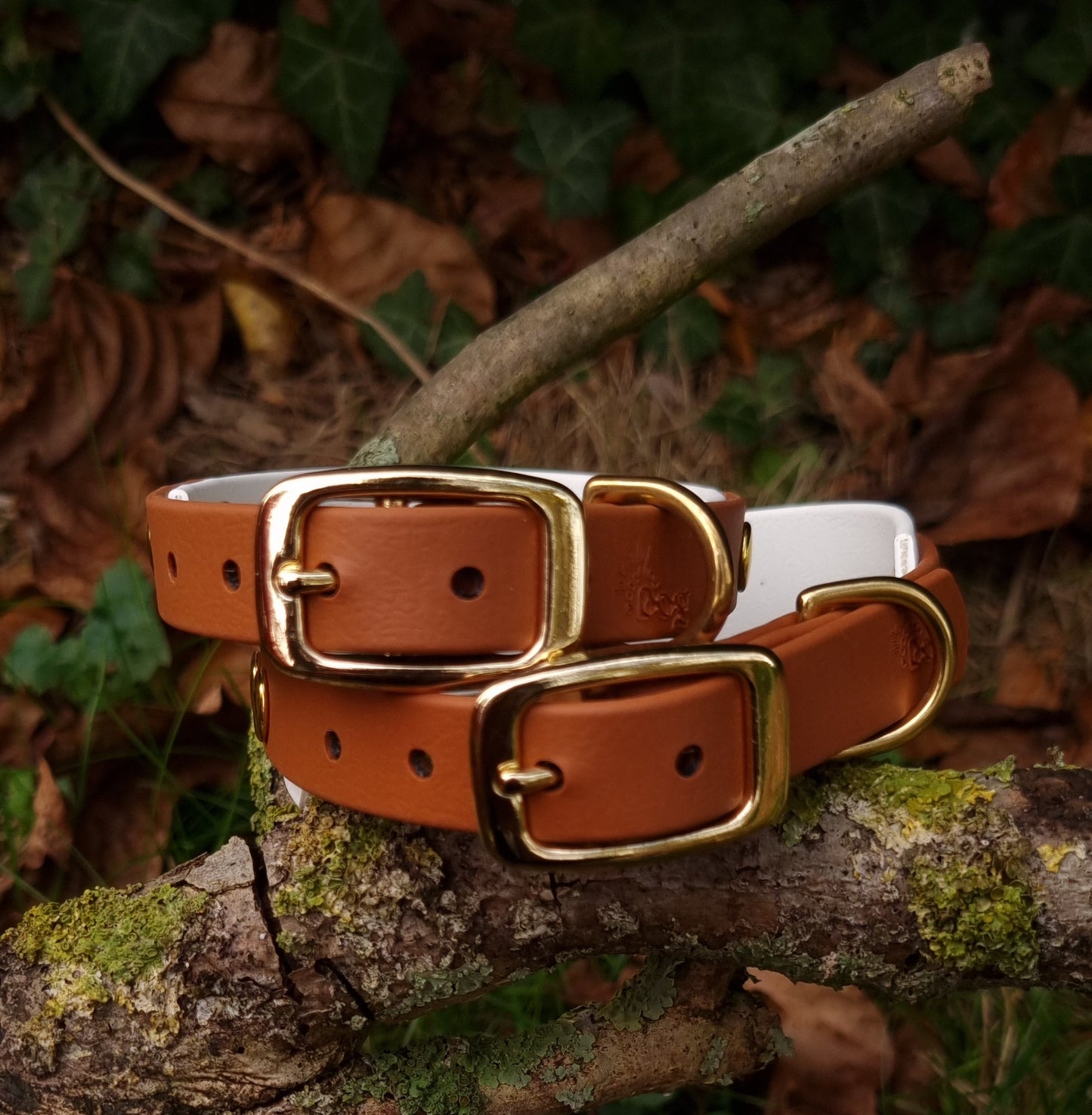 Handgemaakte wit bruin waterdichte Biothane halsband met gouden gesp van Dazzling Dog.