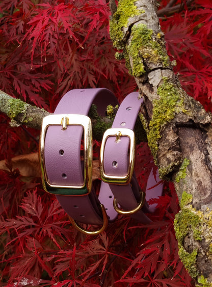 Klassieke mauve waterdichte Biothane halsband met gouden gesp van Dazzling Dog