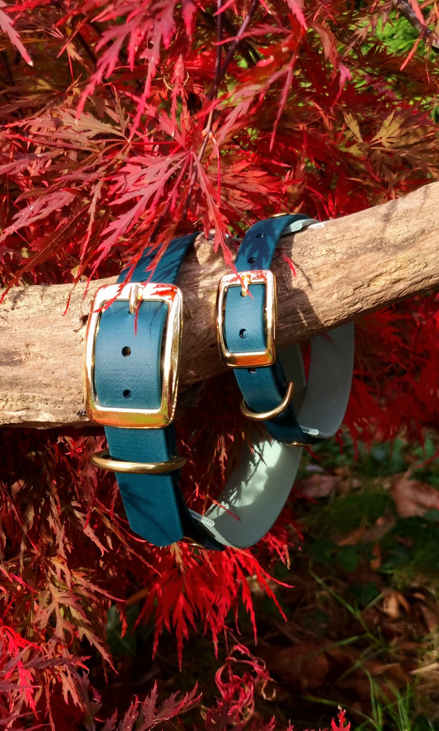 Handgemaakte waterdichte Biothane halsband in sage groen en donkergroen met gouden gesp van Dazzling Dog.