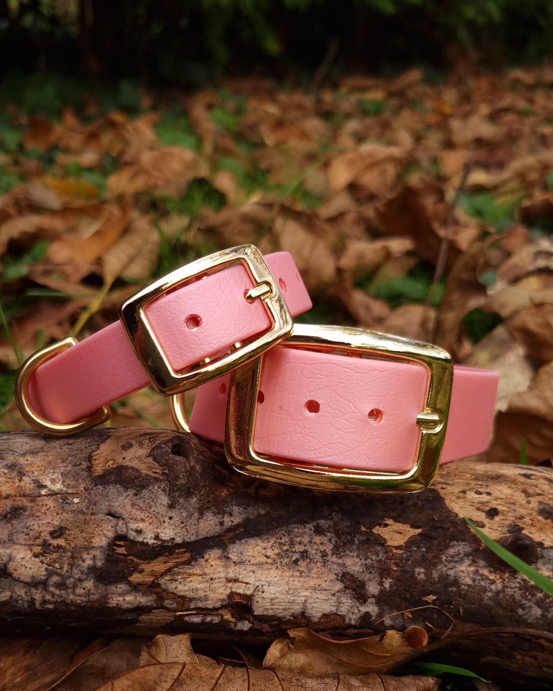 Klassieke rose waterproof  halsband met gouden gesp  door Dazzling Dog