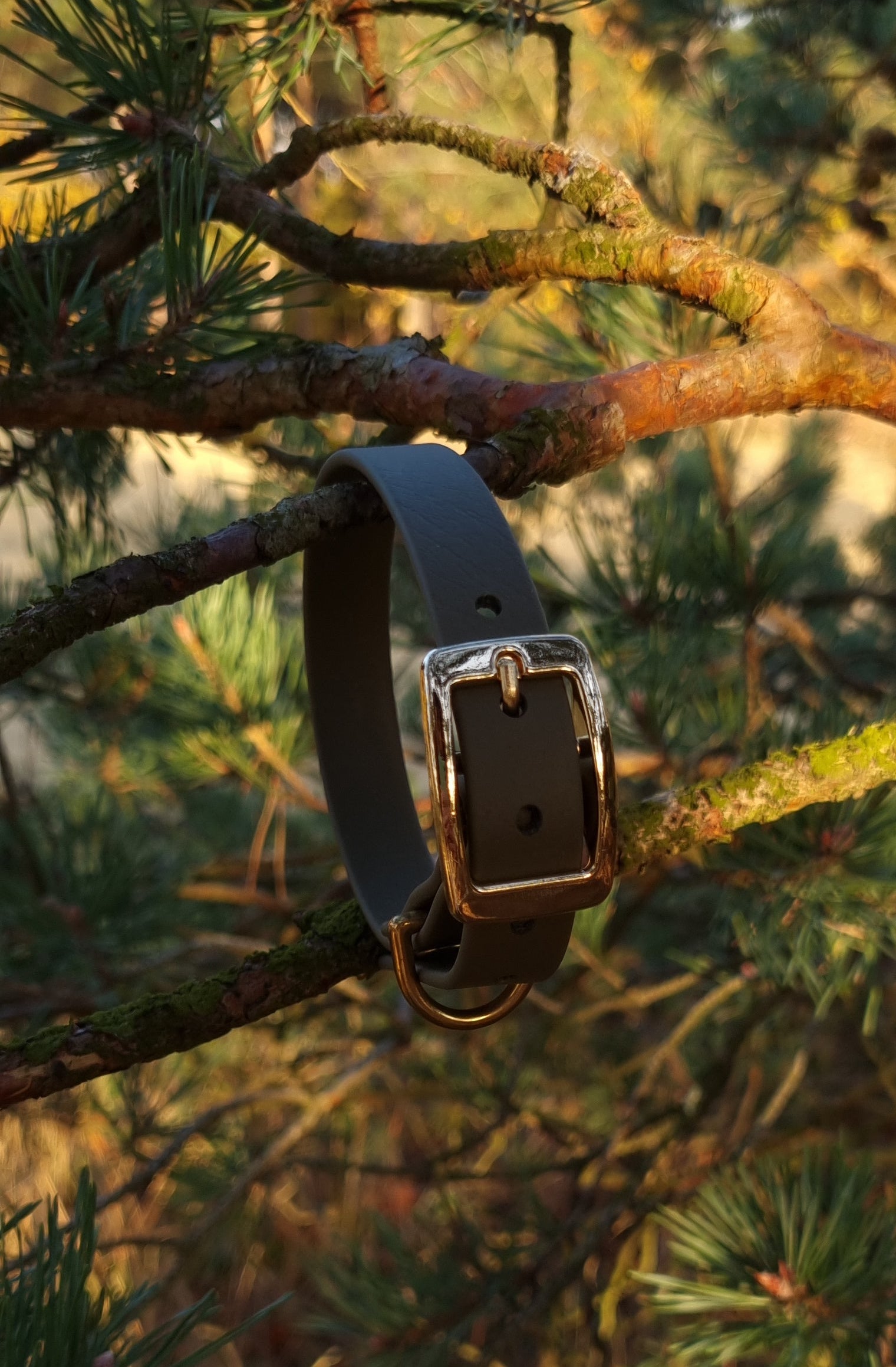 Klassieke Zwarte waterfproof  halsband met gouden gesp  door Dazzling Dog