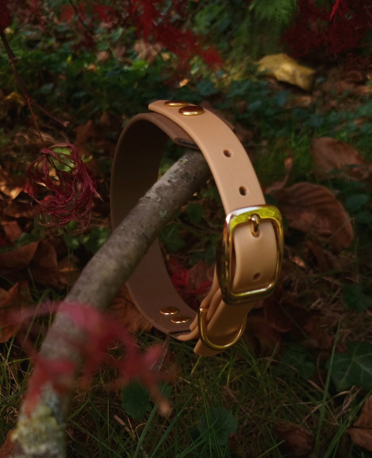 Tweekleurige halsbanden - beige-coyotebruin