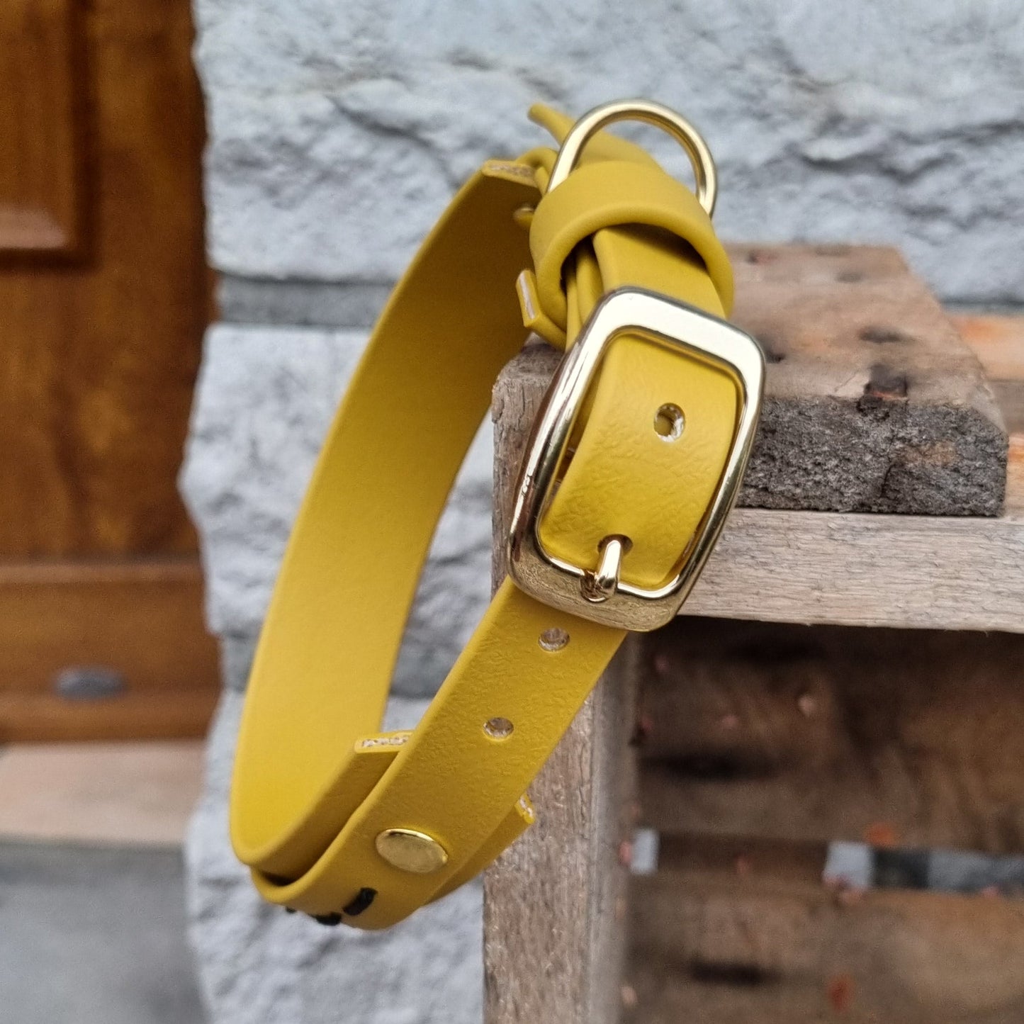 Native biothane Halsband - duurzaam en waterproof - Dazzling Dog