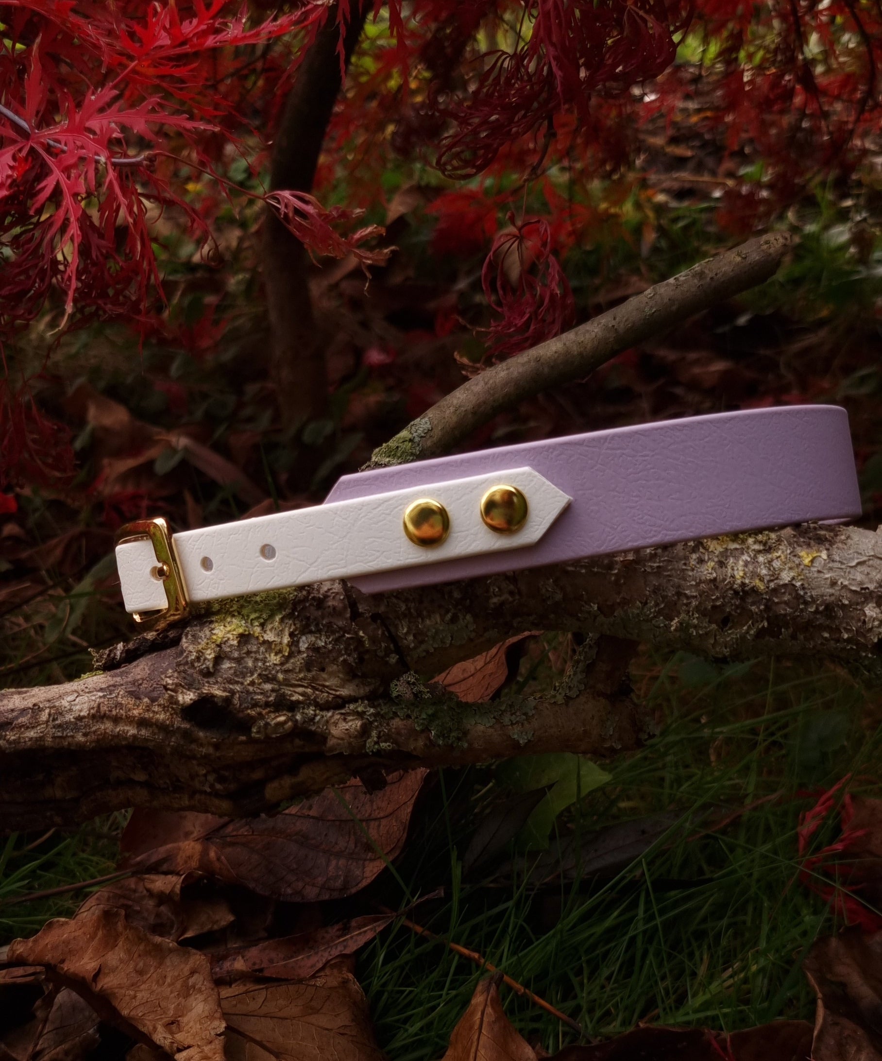 Handgemaakte wit pastelpaarse waterdichte Biothane halsband met gouden gesp van Dazzling Dog.