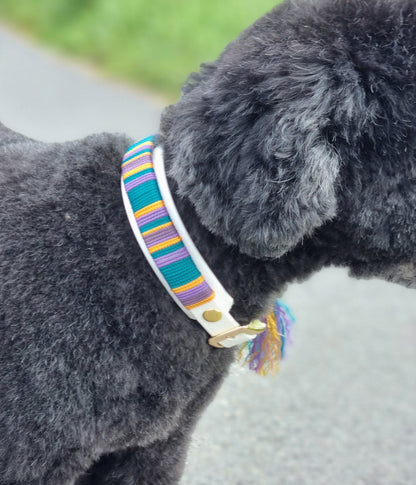 Cali-wave hondenhalsband - Rio