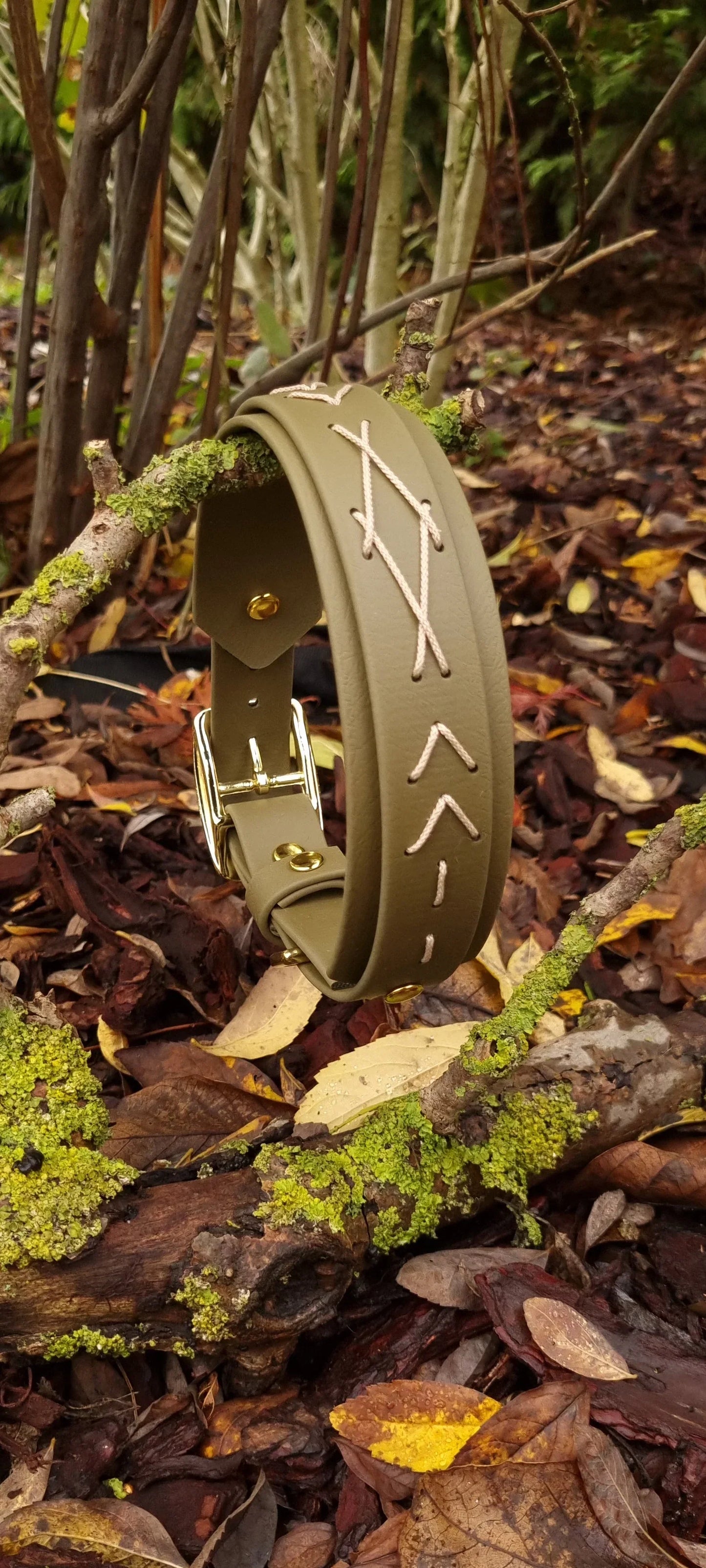 Native hondenhalsband - olijf - Dazzling Dog