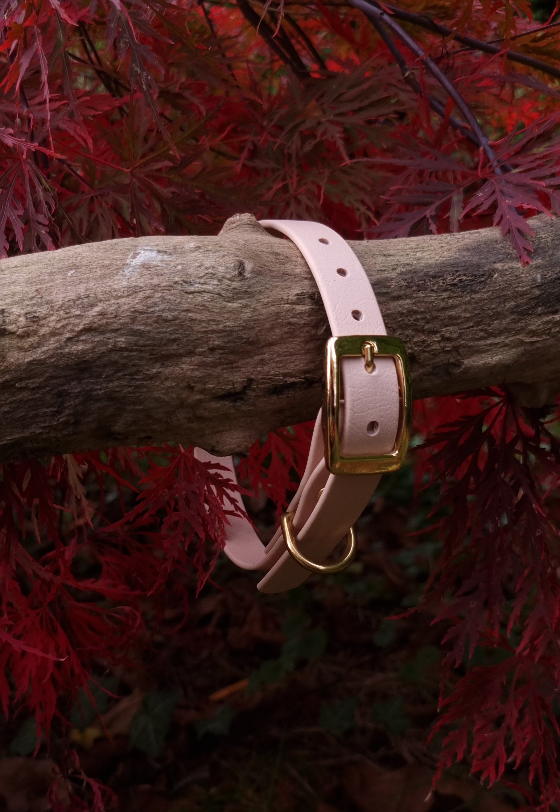 Klassieke nude waterproof  halsband met gouden gesp  door Dazzling Dog