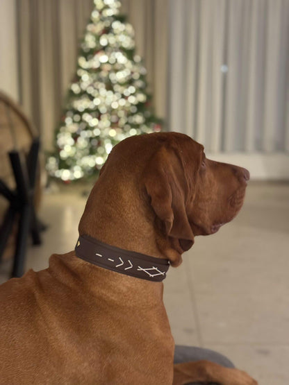 Native biothane Halsband - duurzaam en waterproof - Dazzling Dog