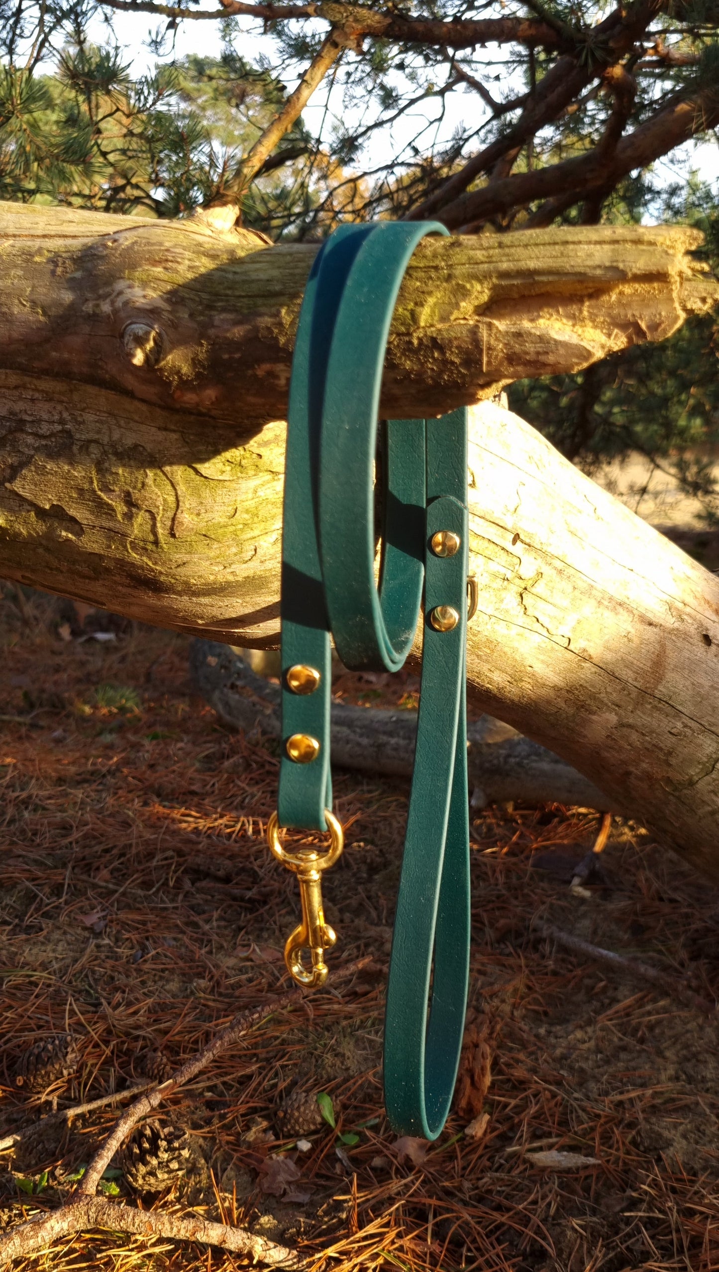 Klassieke leibanden - Donkergroen