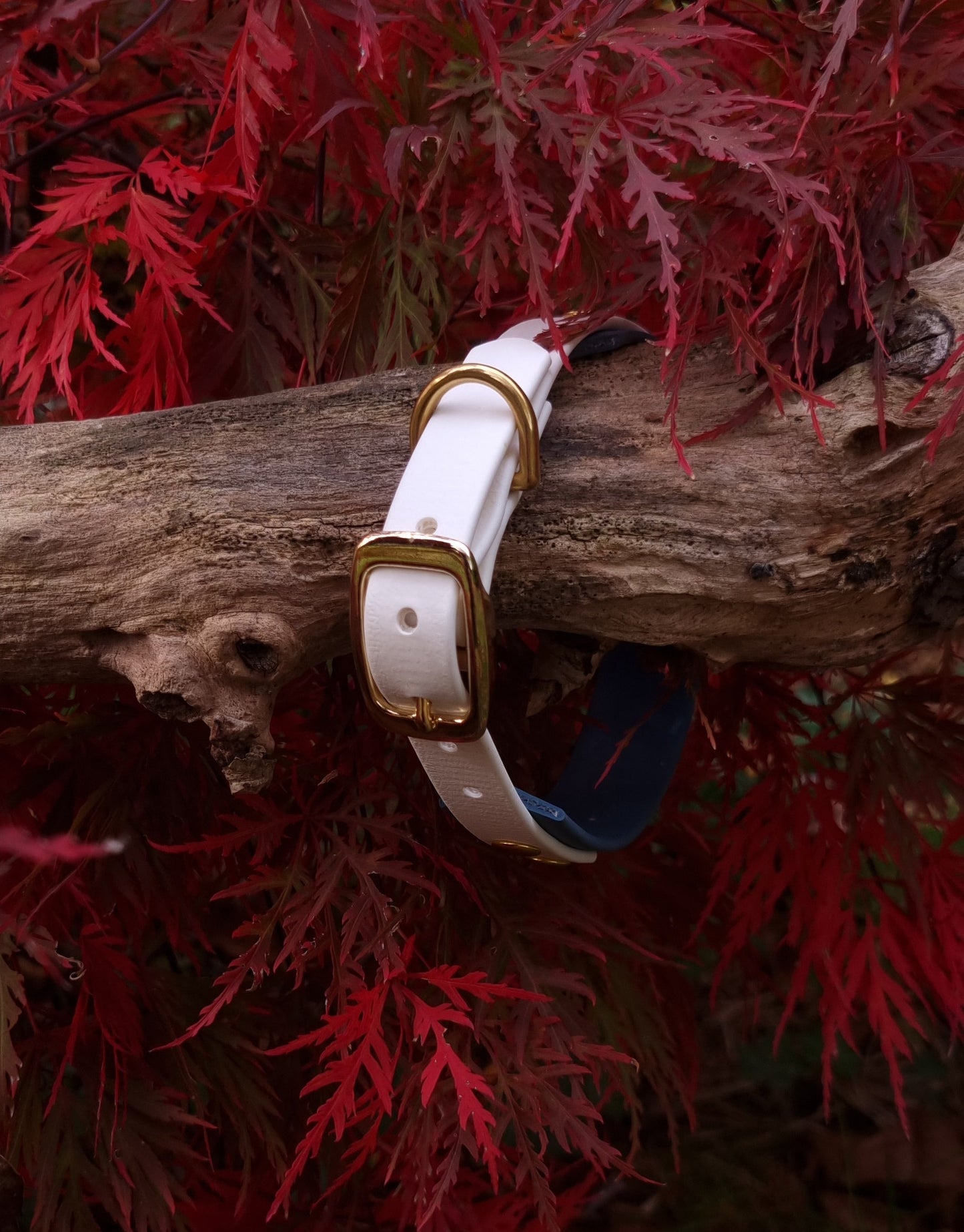 Handgemaakte wit blauwe  waterdichte Biothane halsband met gouden gesp van Dazzling Dog.