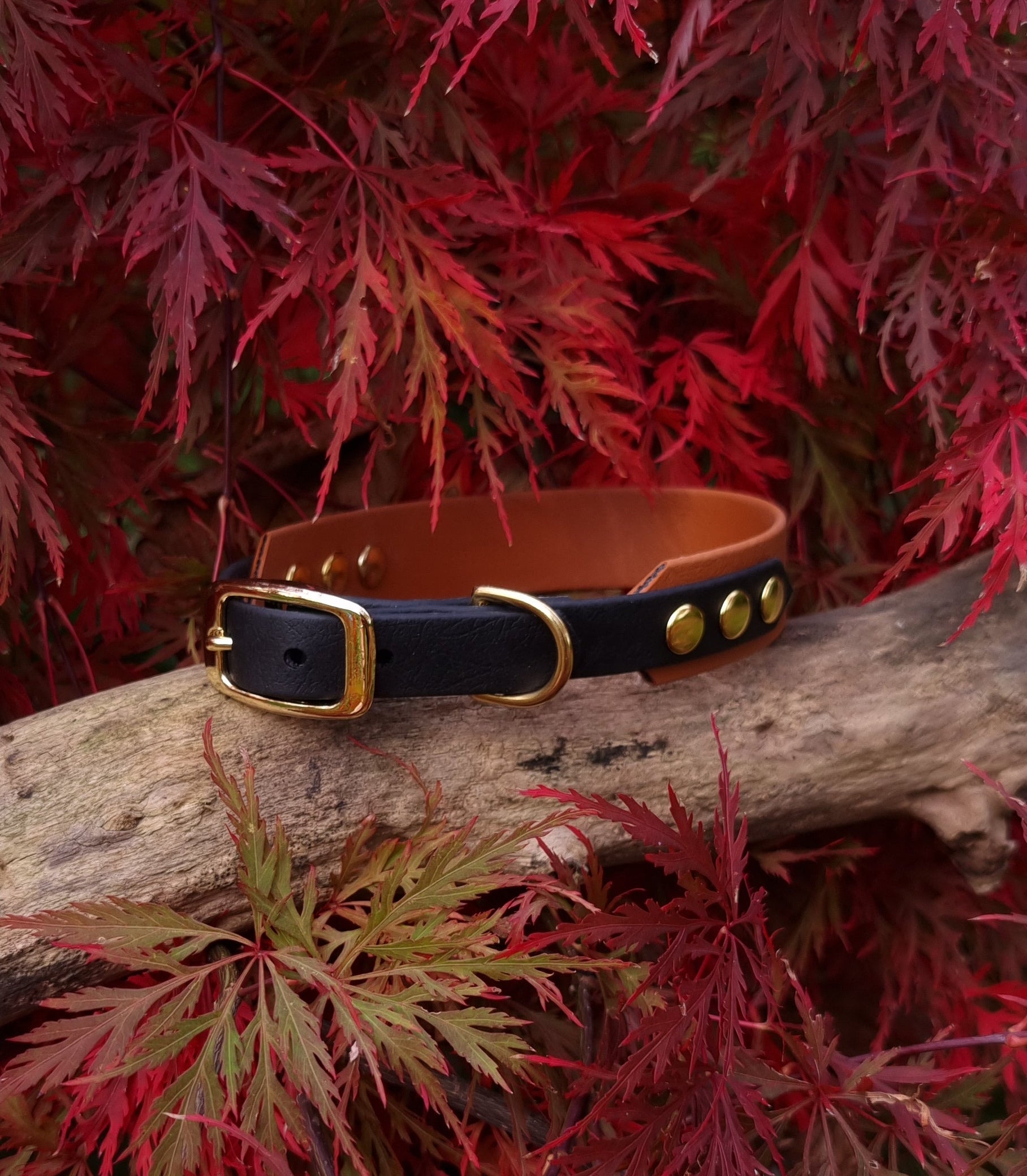 Handgemaakte waterdichte Biothane halsband in bruin zwart met gouden gesp van Dazzling Dog.