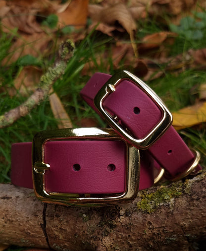 Klassieke rode waterproof  halsband met gouden gesp  door Dazzling Dog