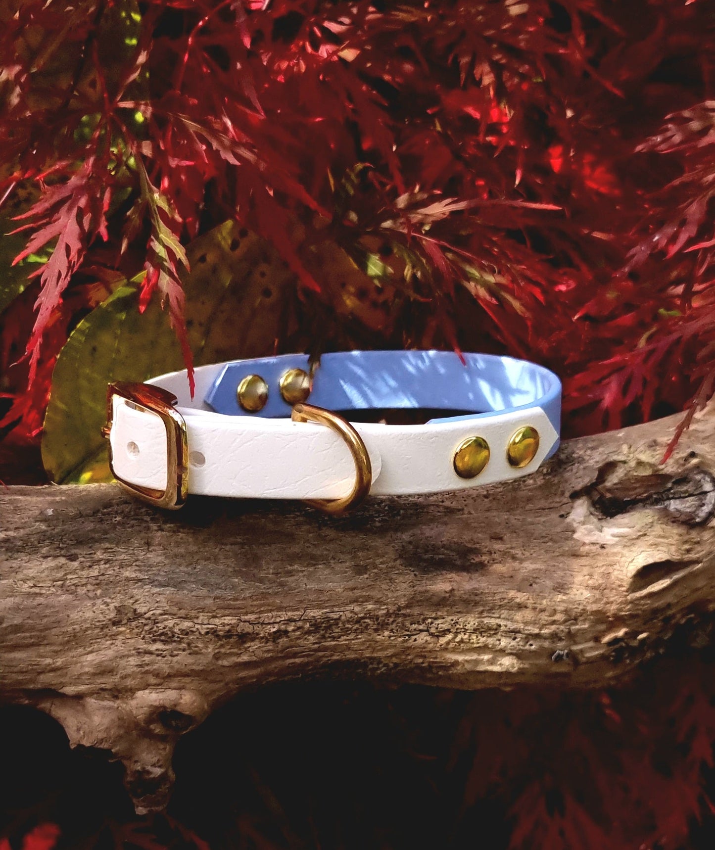 Handgemaakte waterdichte Biothane halsband in pastelblauw en wit met gouden gesp van Dazzling Dog.