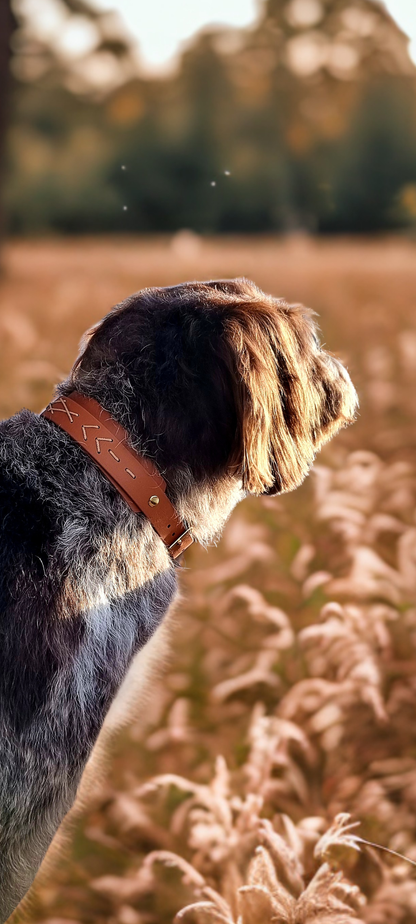 Native biothane Halsband - duurzaam en waterproof - Dazzling Dog
