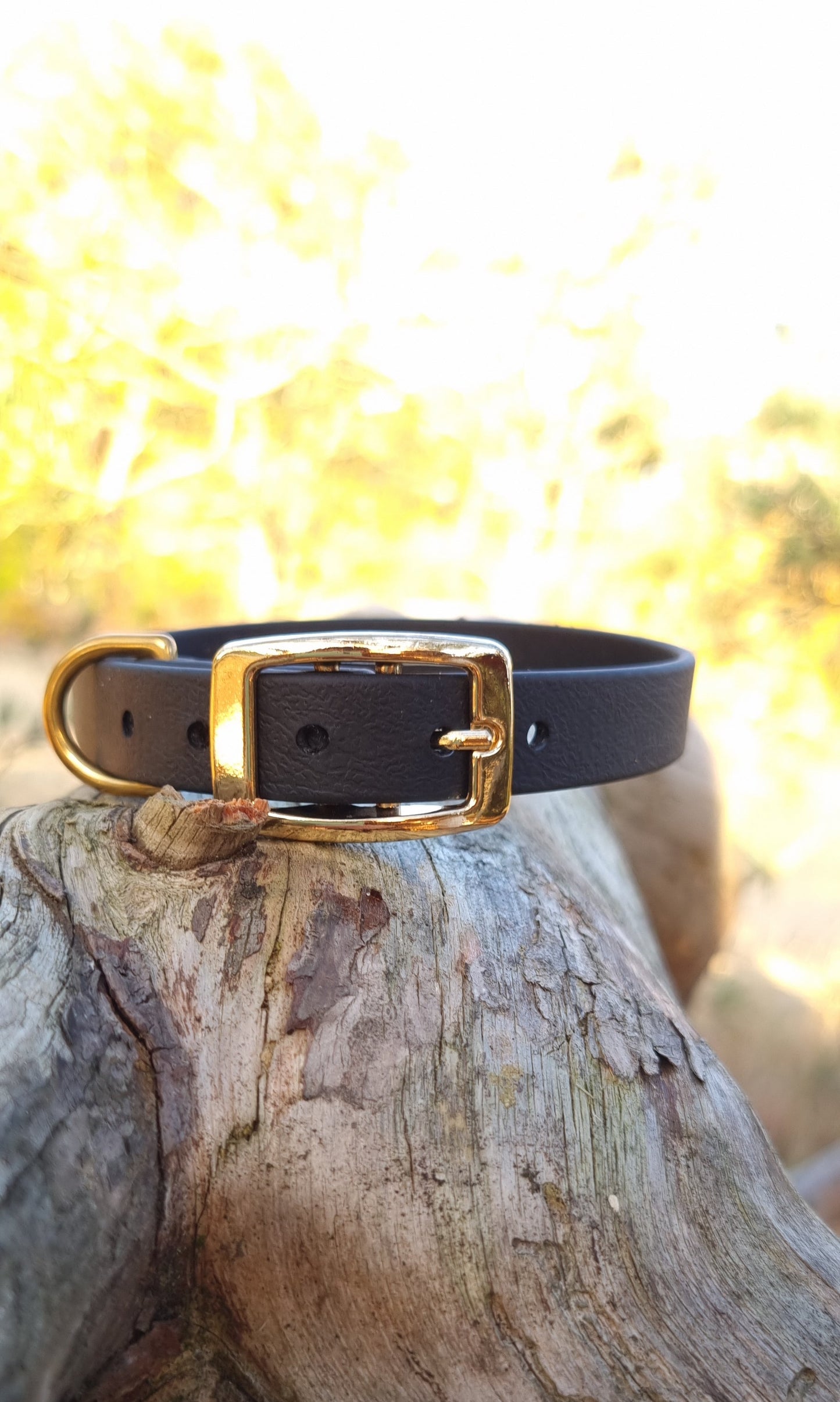 Klassieke Zwarte waterfproof  halsband met gouden gesp  door Dazzling Dog