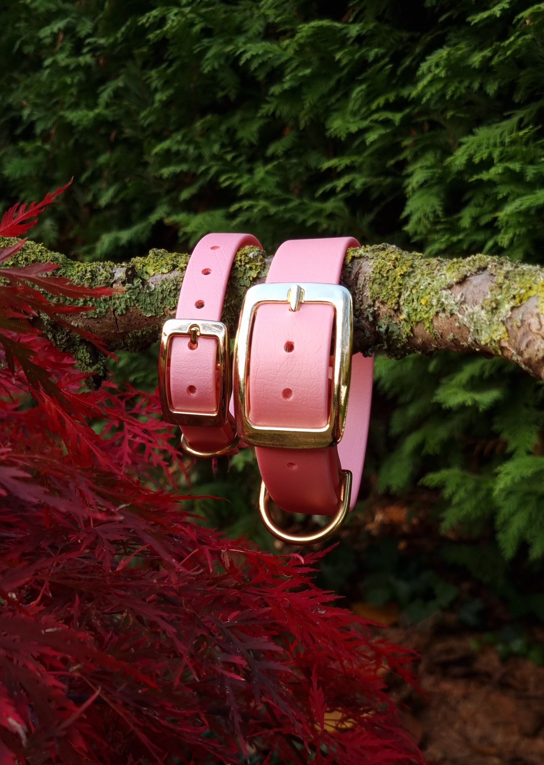 Klassieke rose waterproof  halsband met gouden gesp  door Dazzling Dog