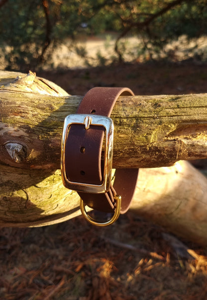 Klassieke bruine waterproof  halsband met gouden gesp  door Dazzling Dog