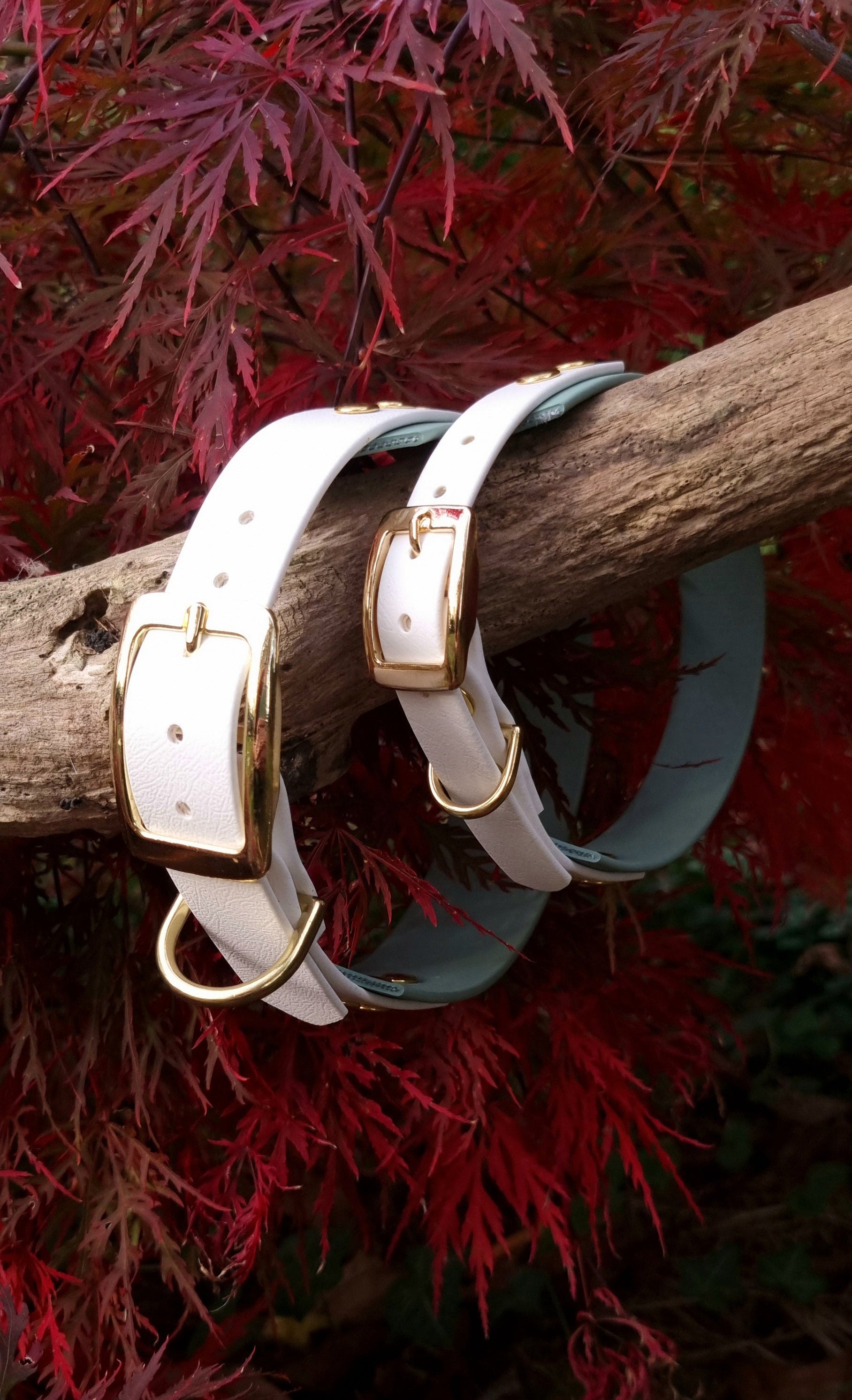 Handgemaakte waterdichte Biothane halsband in sage groen en wit met gouden gesp van Dazzling Dog.