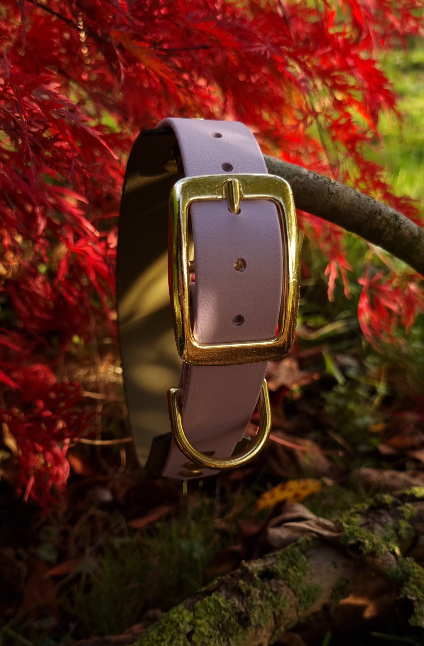 Handgemaakte pastelpaars olijf  waterdichte Biothane halsband met gouden gesp van Dazzling Dog.