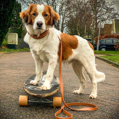 Native biothane Halsband - duurzaam en waterproof - Dazzling Dog