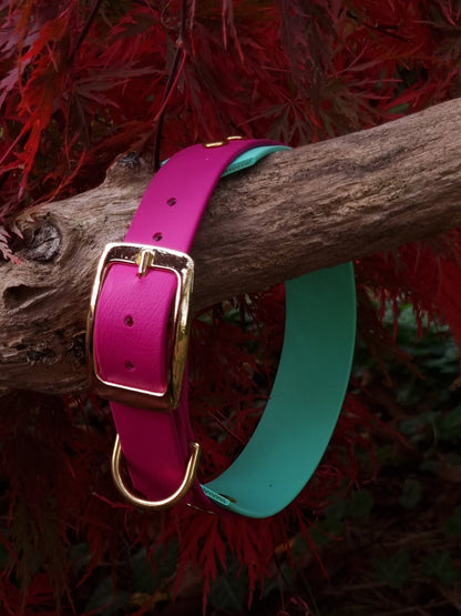 Tweekleurige halsband magenta groen waterproof door Dazzling Dog
