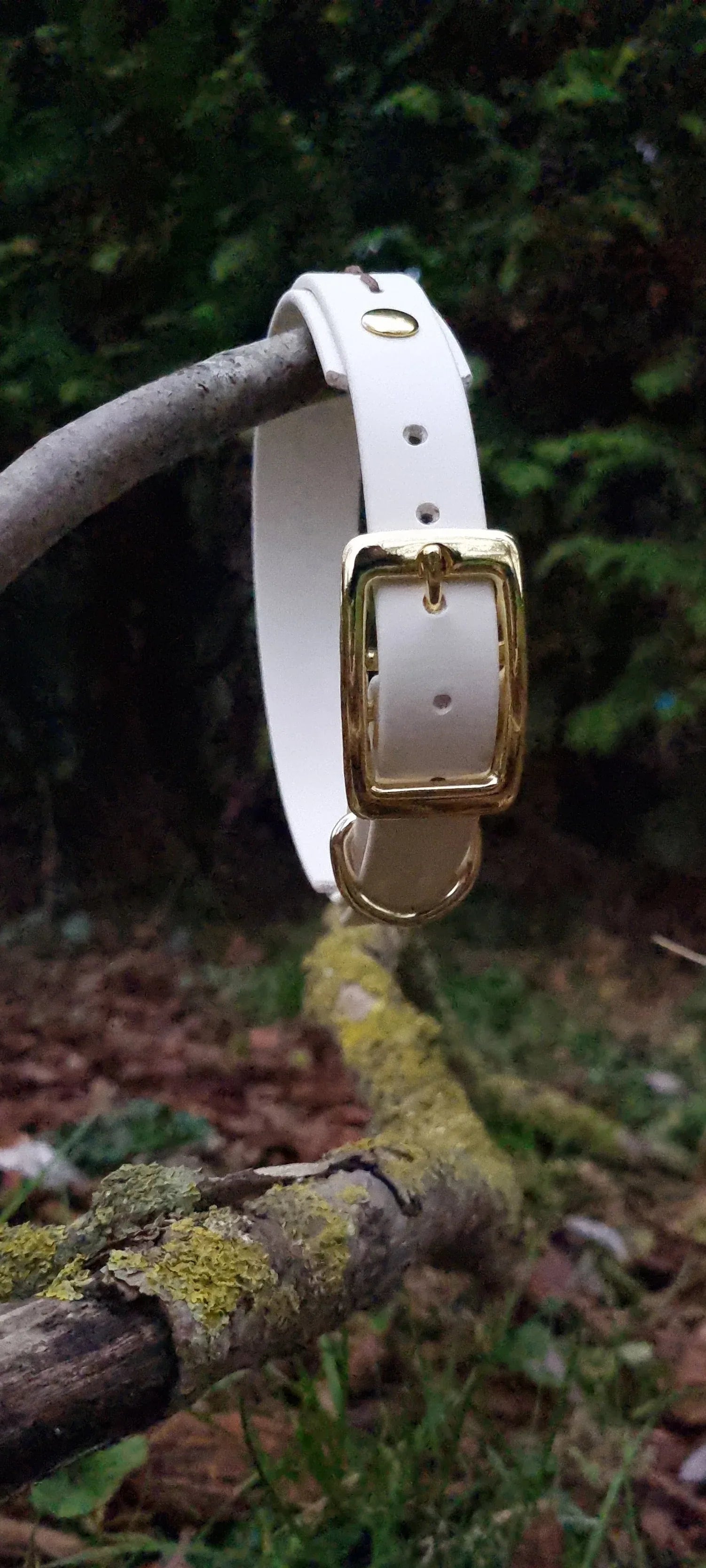 Native hondenhalsband - Wit - Dazzling Dog