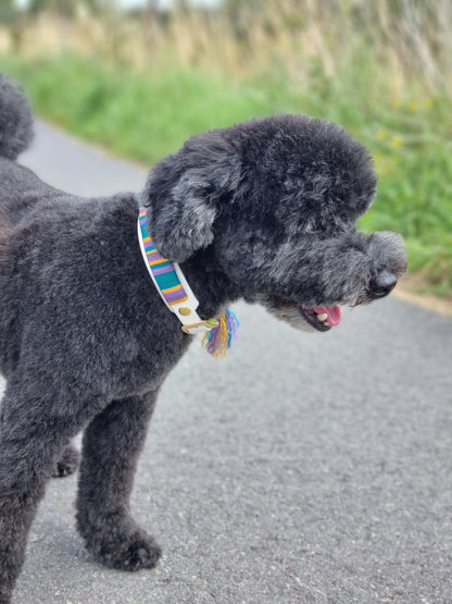 Cali-wave hondenhalsband - Rio