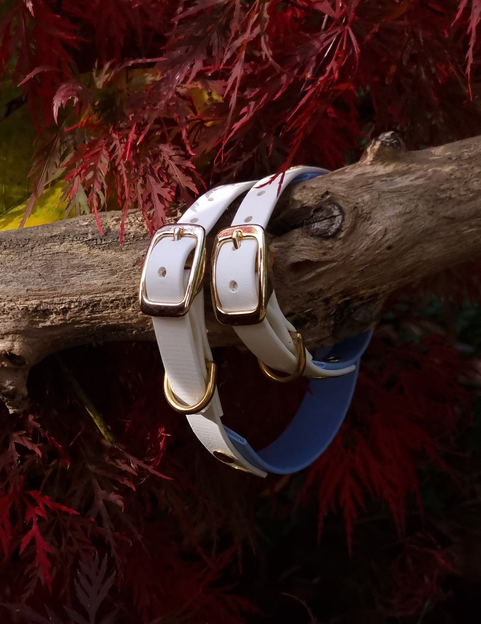 Handgemaakte waterdichte Biothane halsband in pastelblauw en wit met gouden gesp van Dazzling Dog.