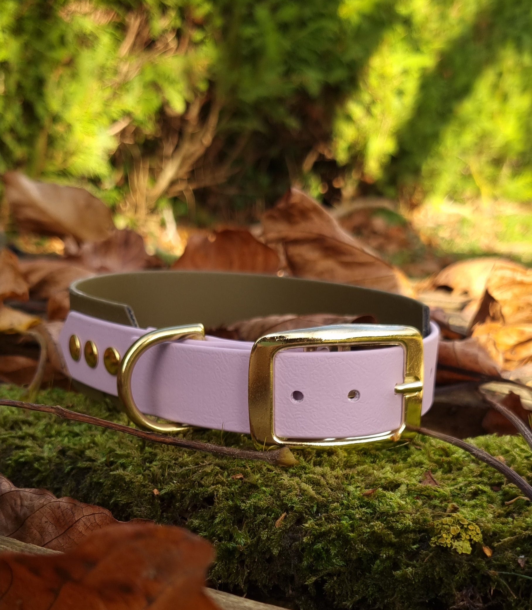 Handgemaakte pastelpaars olijf  waterdichte Biothane halsband met gouden gesp van Dazzling Dog.