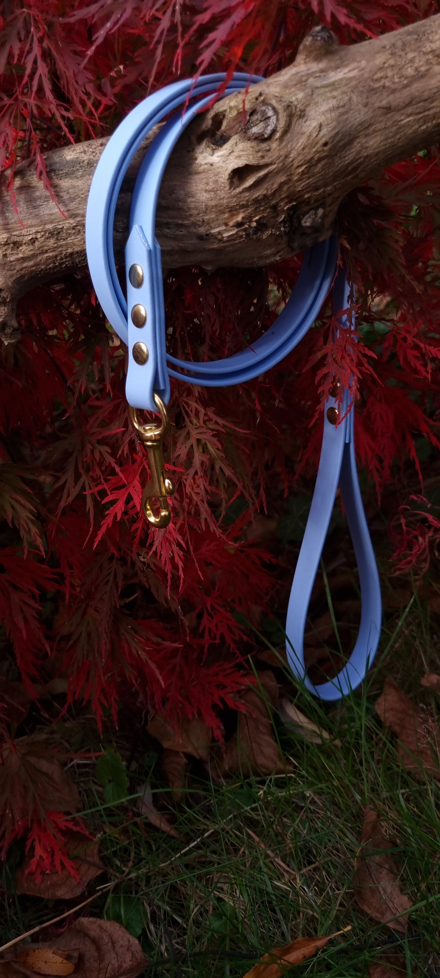 Klassieke leibanden - Polarblauw