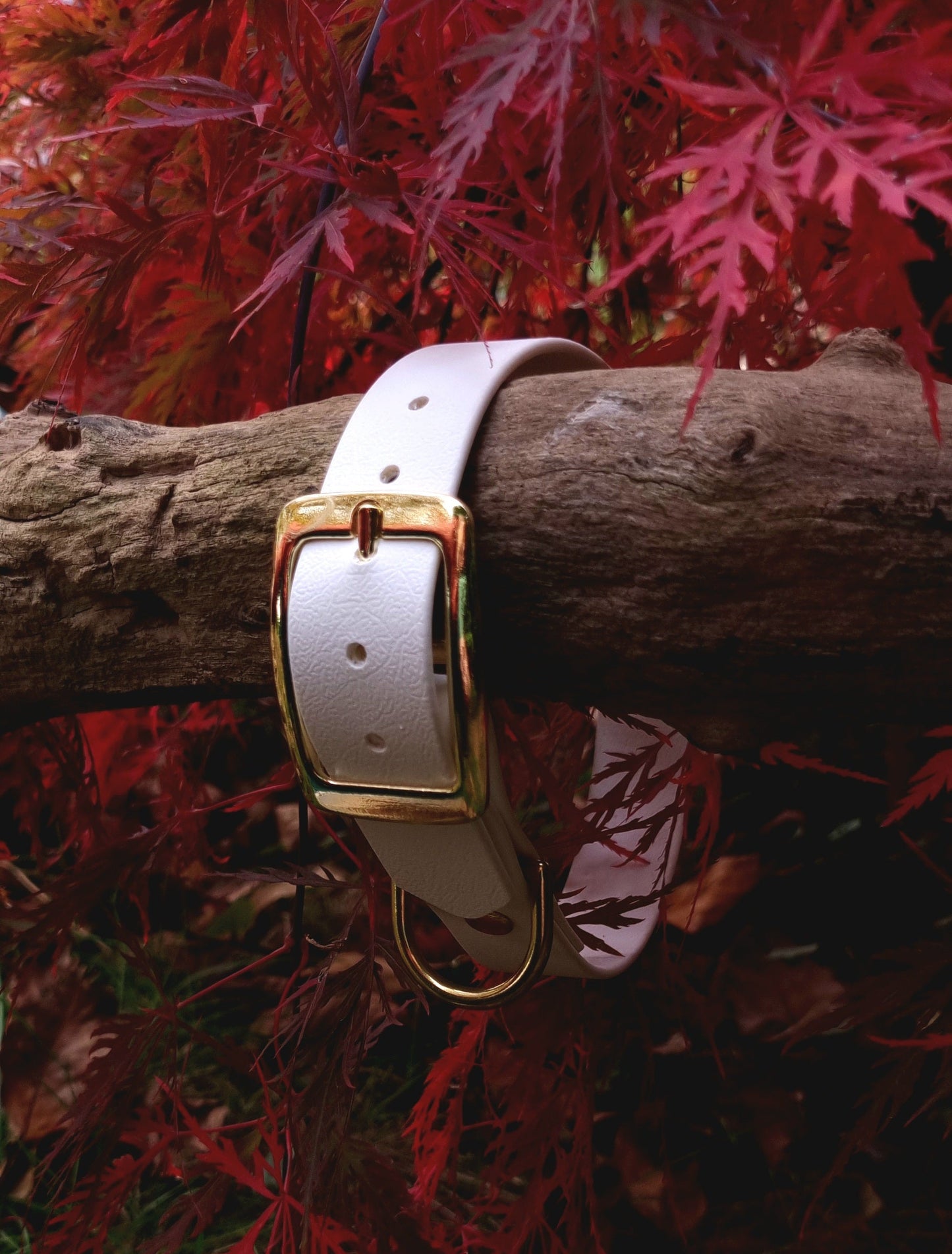 Klassieke witte waterproof  halsband met gouden gesp  door Dazzling Dog