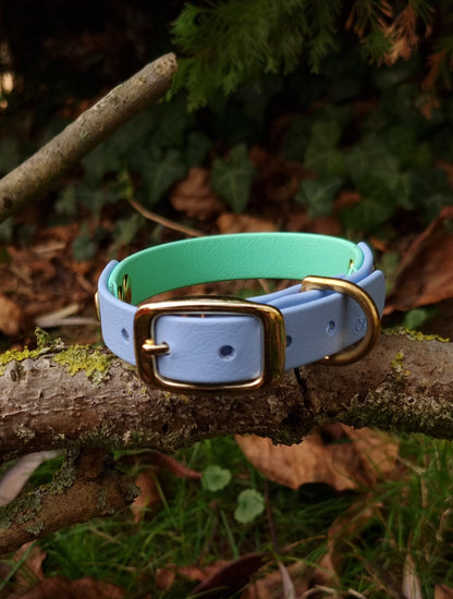 Handgemaakte blauw groene waterdichte Biothane halsband met gouden gesp van Dazzling Dog.