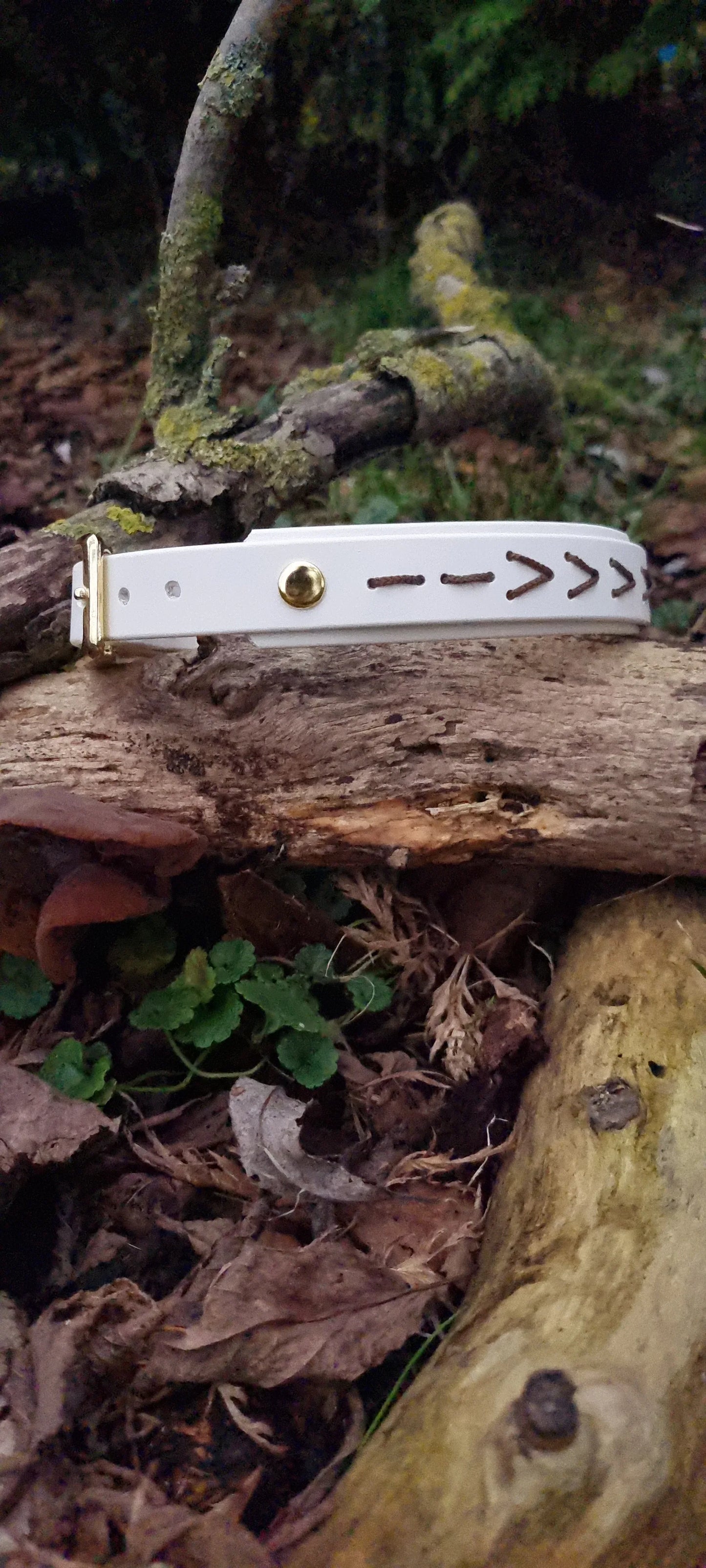 Native hondenhalsband - Wit - Dazzling Dog