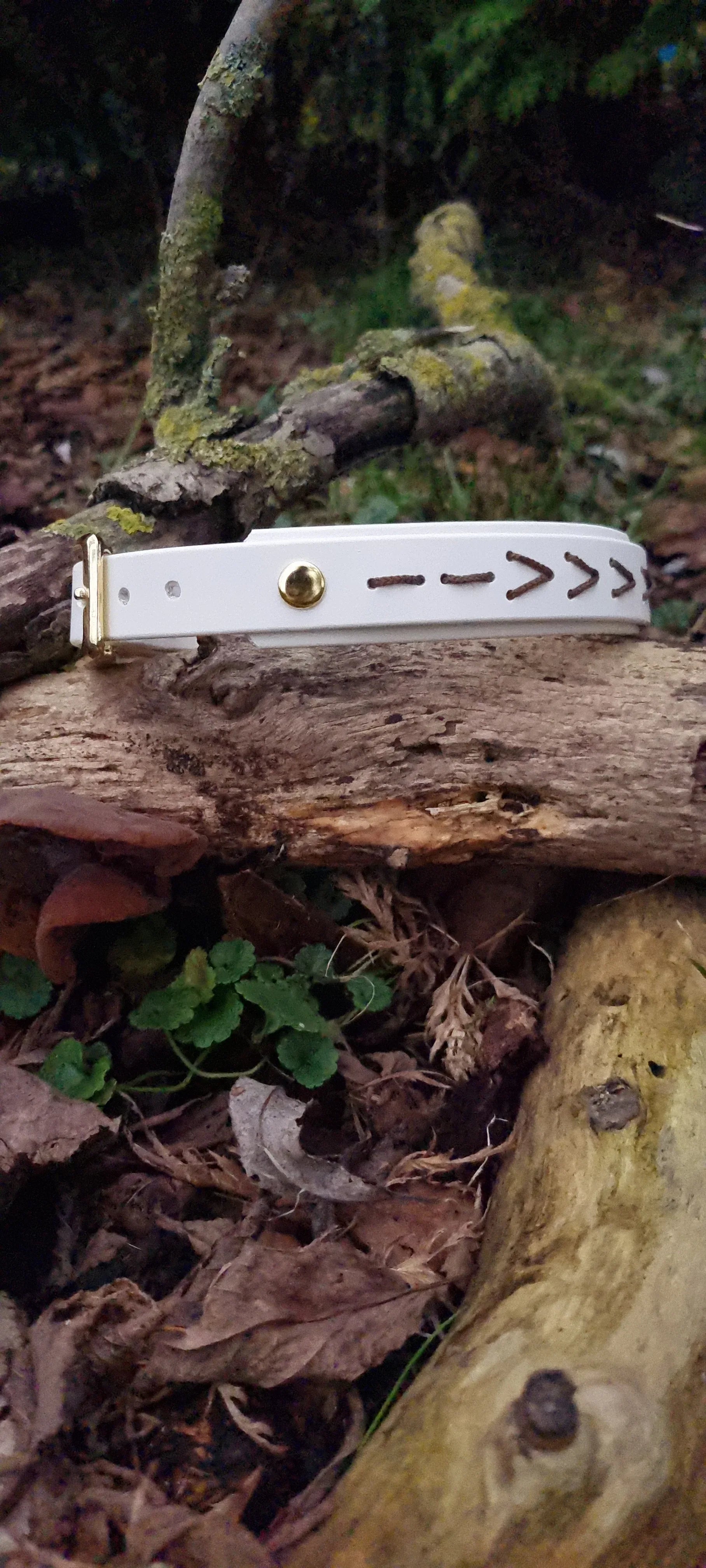 Native hondenhalsband - Wit - Dazzling Dog