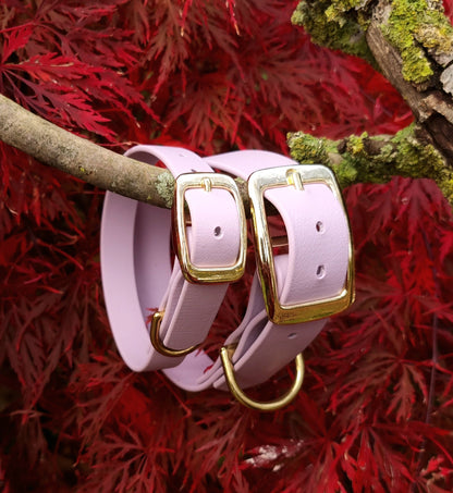 Klassieke pastelpaarse  waterdichte Biothane halsband met gouden gesp van Dazzling Dog.