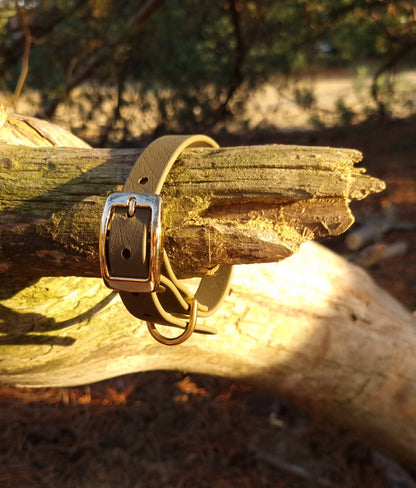 Klassieke olijfkleurige waterproof  halsband met gouden gesp  door Dazzling Dog