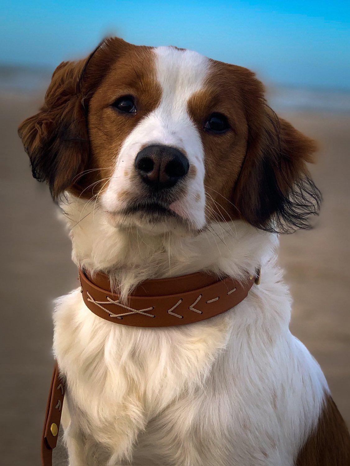 Native hondenhalsband - lichtbruin