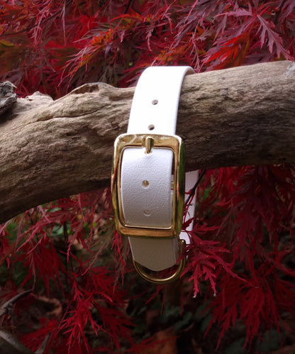 Klassieke witte waterproof  halsband met gouden gesp  door Dazzling Dog