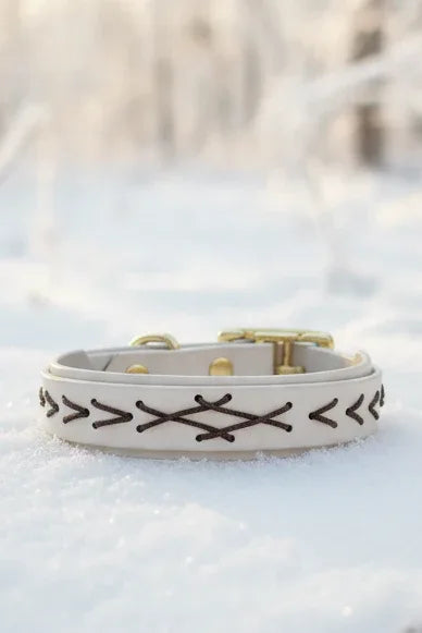 Native hondenhalsband - Wit - Dazzling Dog