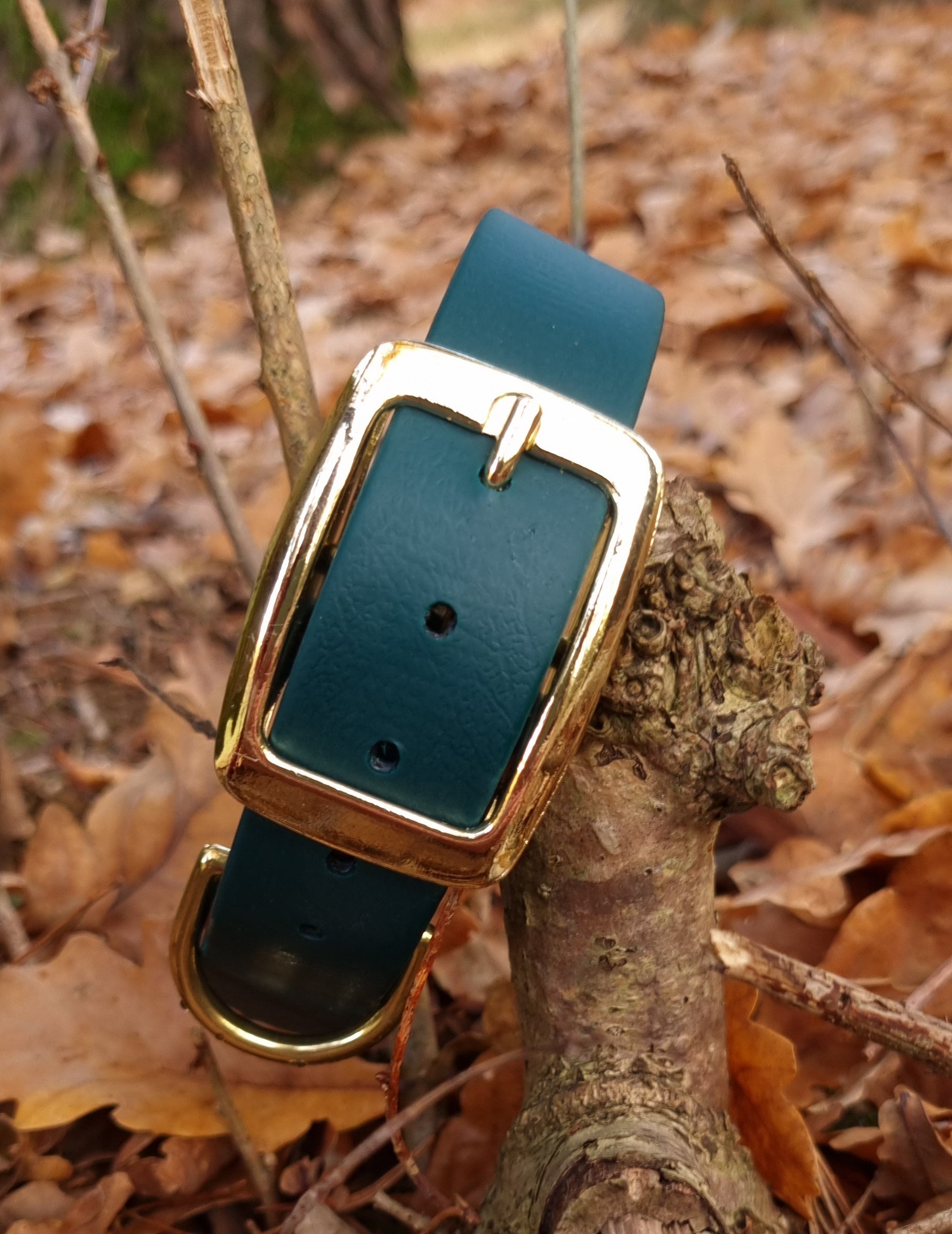 Klassieke donkergroene waterproof  halsband met gouden gesp  door Dazzling Dog