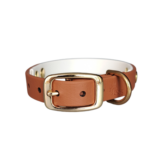 bruin witte halsband met gouden gesp