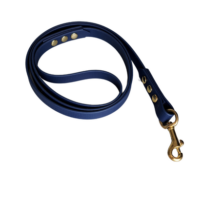 Sterke blauwe Biothane leiband met gouden hardware, handgemaakt door Dazzling Dog.