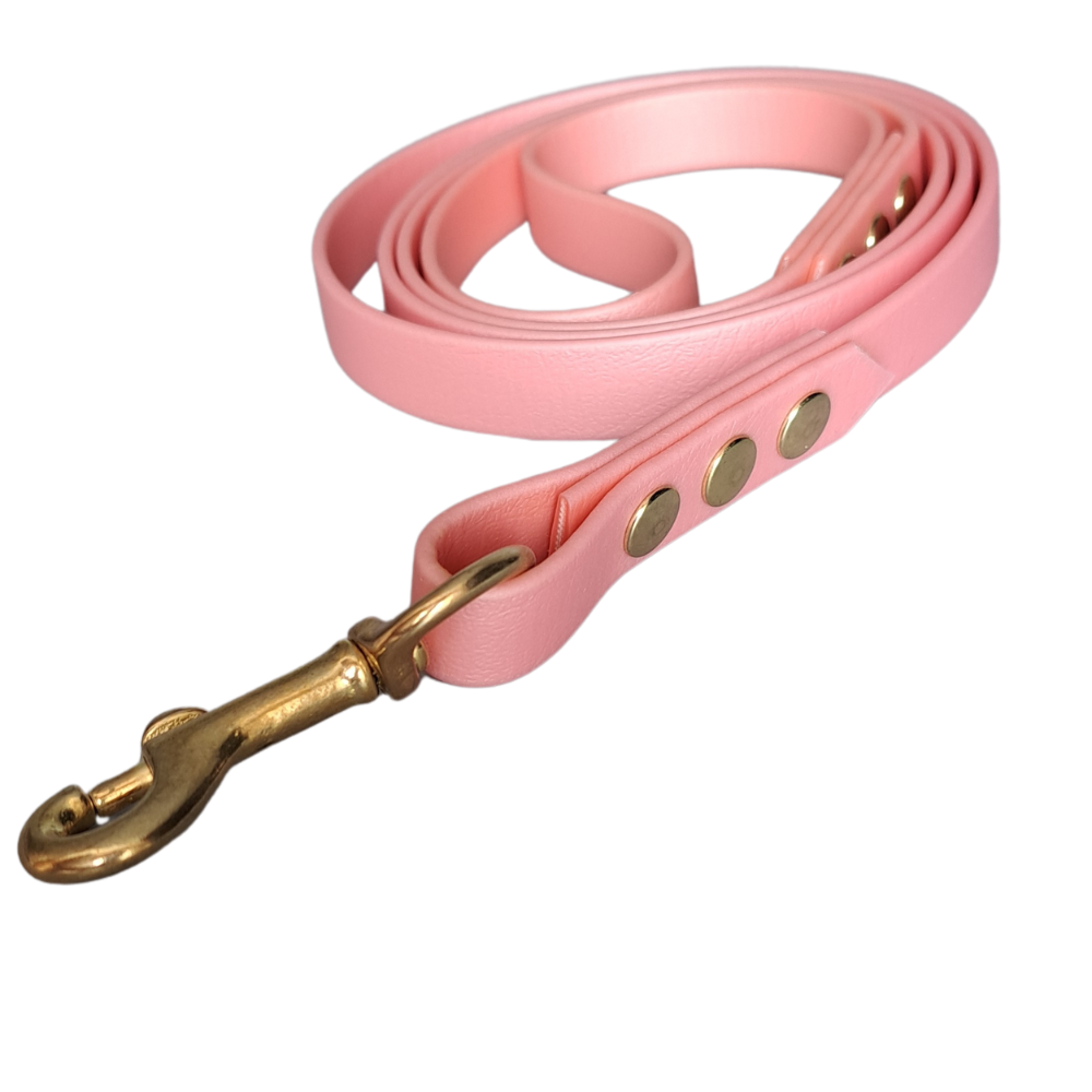 Sterke Biothane leiband in rosé met gouden hardware, handgemaakt door Dazzling Dog.