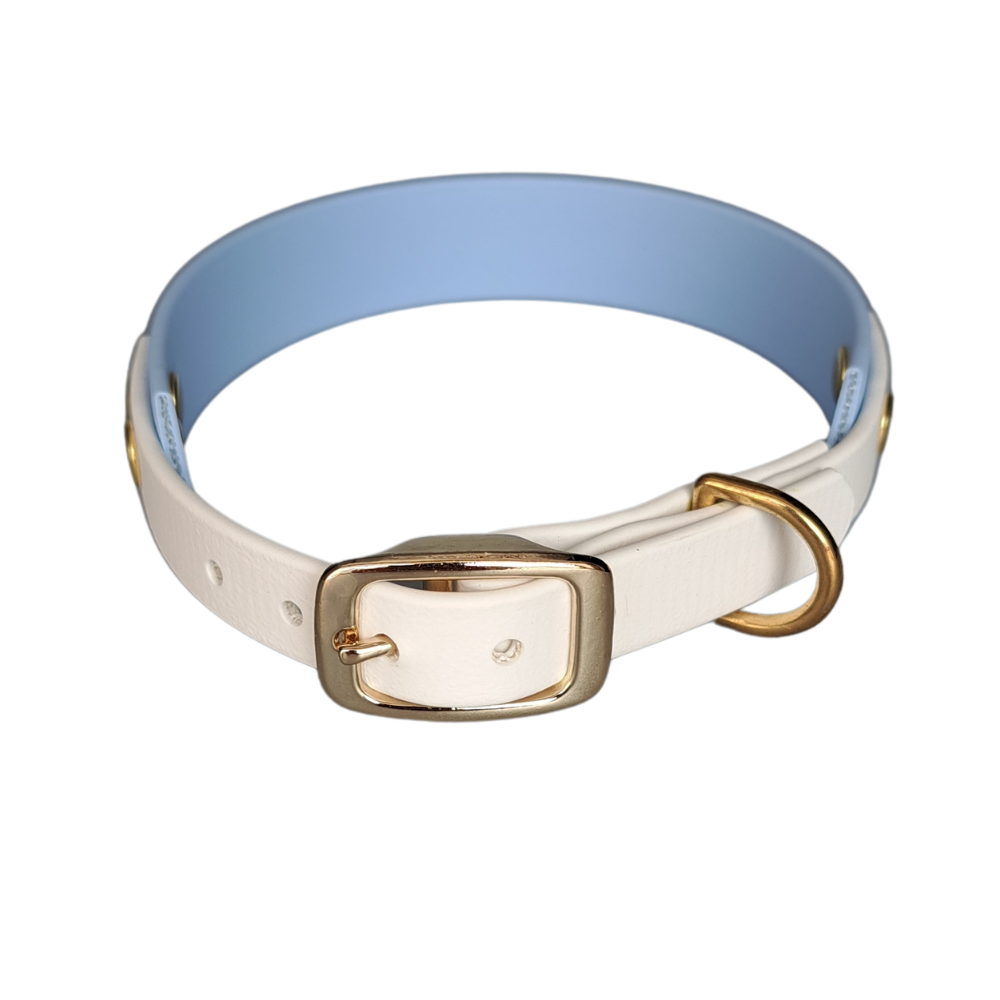 Handgemaakte waterdichte Biothane halsband met gouden gesp van Dazzling Dog.